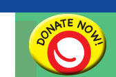Donate Now